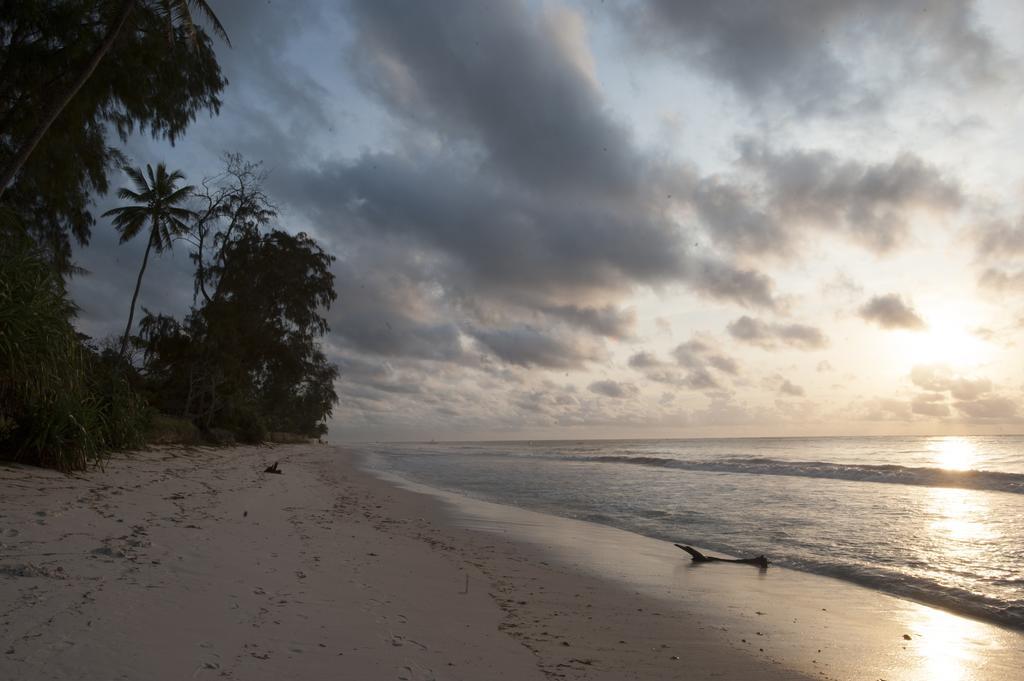 Diani House Ξενοδοχείο Diani Beach Εξωτερικό φωτογραφία