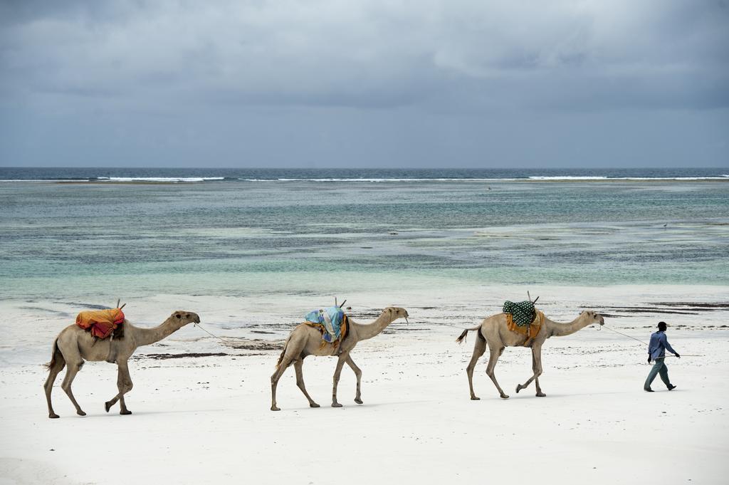 Diani House Ξενοδοχείο Diani Beach Εξωτερικό φωτογραφία